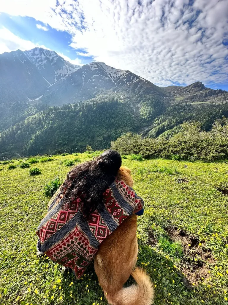 Mountains dogs Phulara Ridge Trek