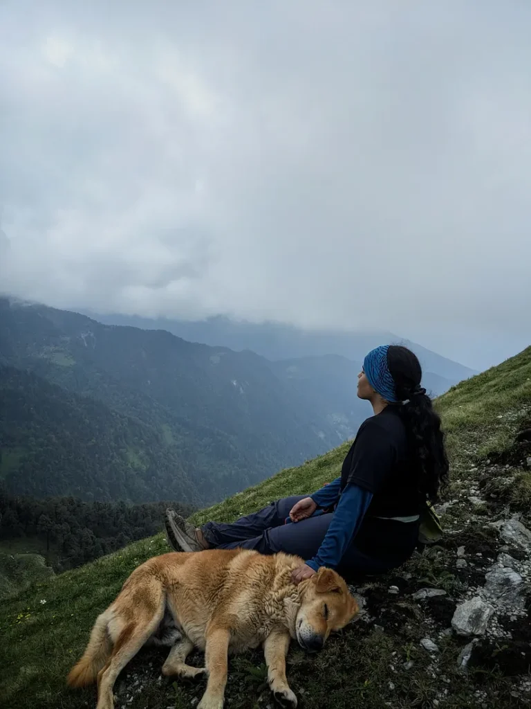 Mountain Dogs Phulara Ridge Trek